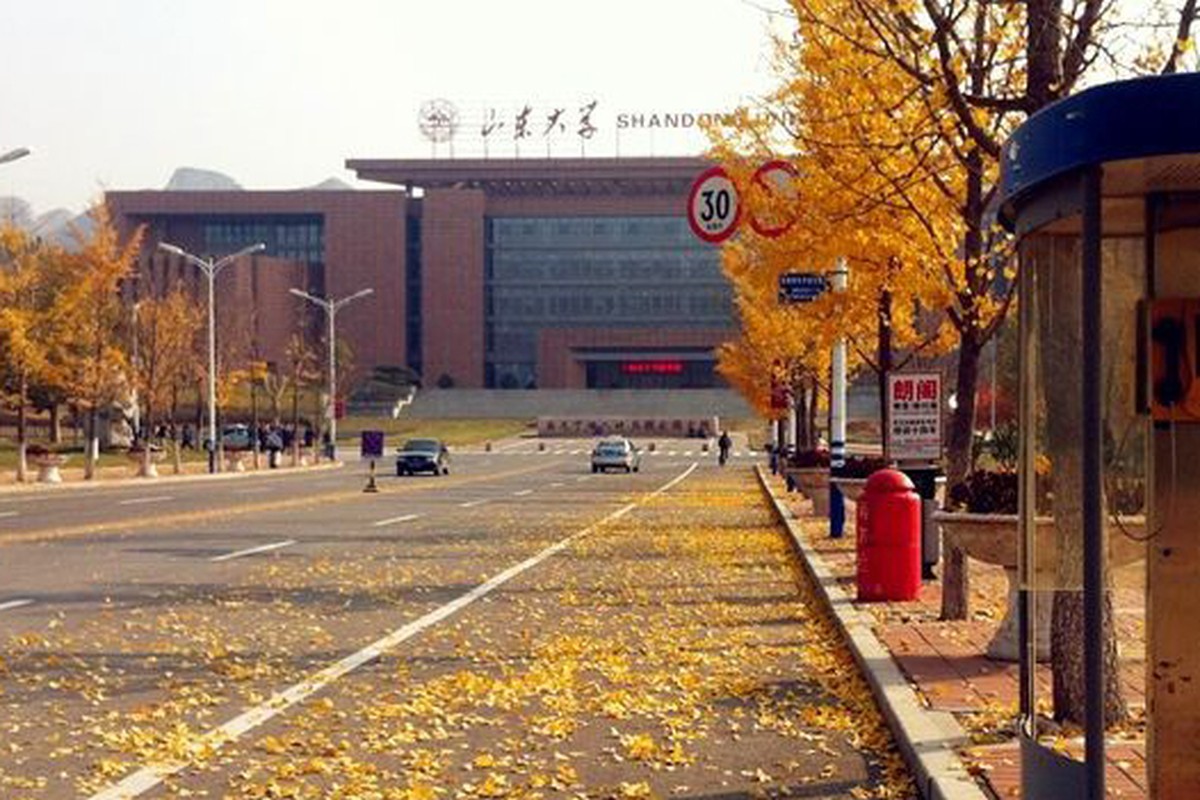 A tree-lined street in warm autumn colors, viewed from the center of the road.